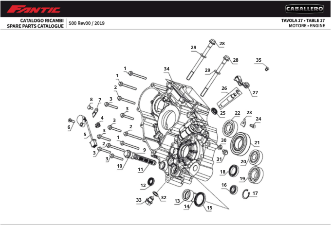 M2B7MMSTON_17 - Moteur (CABALLERO 500 FLAT TRACK).png